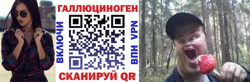 закладка  Приморско-Ахтарск  Псилоцибиновые грибы Psilocybe 